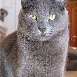 Meet your Posher, Maddie